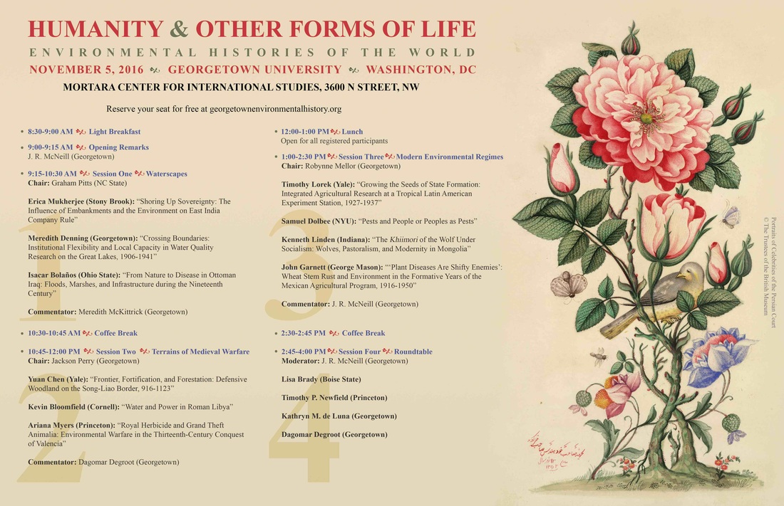 Humanity and Other Forms of Life